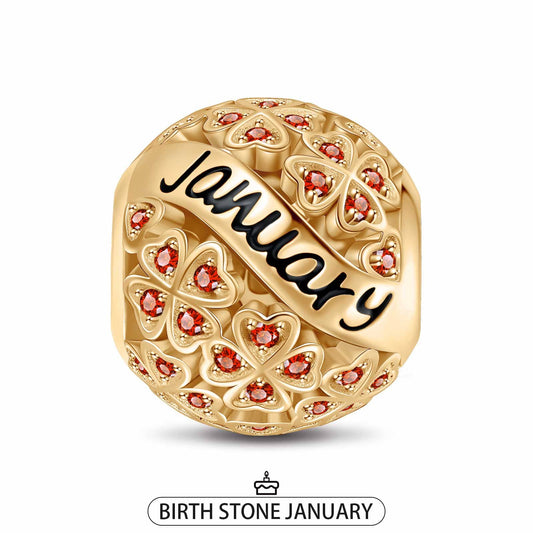 gona- January Birthstone Tarnish-resistant Silver Charms With Enamel In 14K Gold Plated