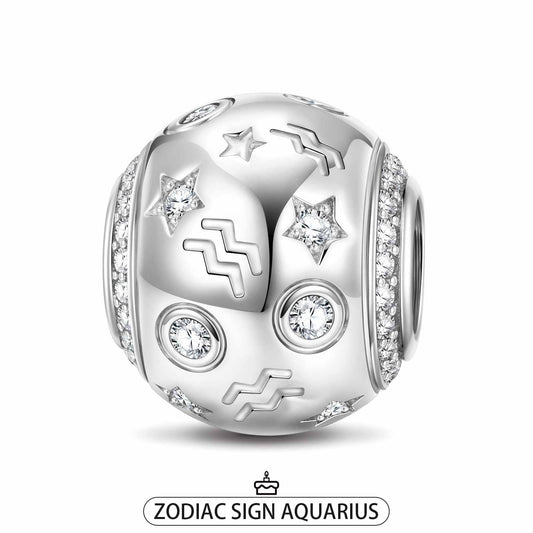 gona- Aquarius Tarnish-resistant Silver Constellation Charms In White Gold Plated