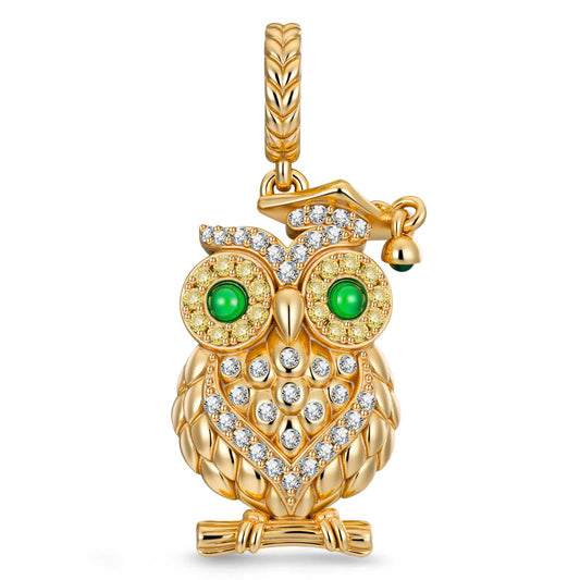 gon- Happy Graduation Owl Tarnish-resistant Silver Charms In 14K Gold Plated
