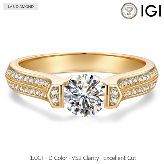 gona- IGI Certified Lab-Grown Round Brilliant Cut Diamond - Pave Classic Engagement Ring 14K Yellow Gold Plated (Includes IGI Certification from International Gemological Institute)