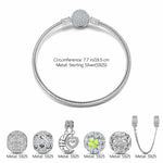 Sterling Silver Love and Luck Charms Bracelet Set With Enamel In White Gold Plated (Includes bracelet and all charms shown)